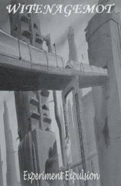 Witenagemot : Experiment Expulsion